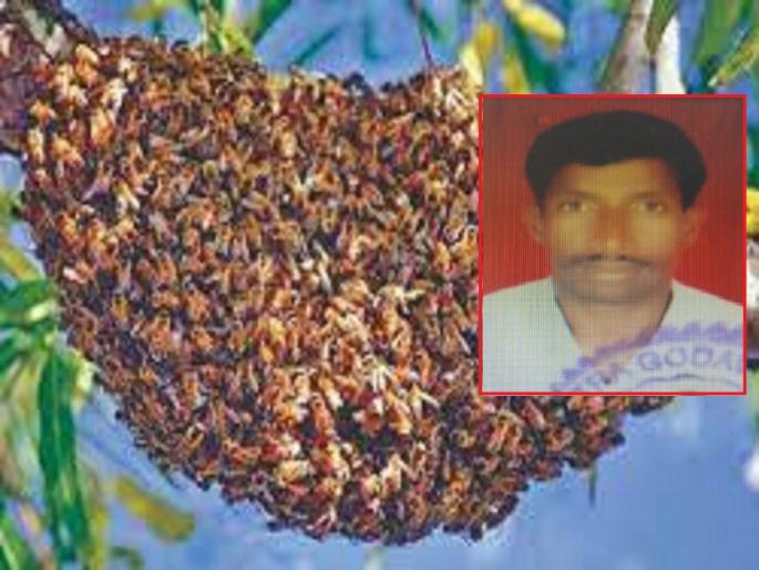 Jumping into the farm lake to escape the from honey bees risked his life; Died by drowning in Jalana | आग्या मोहळापासून वाचण्यासाठी शेततळ्यात उडी मारली, पण माश्यांनी वरच येऊ दिले नाही