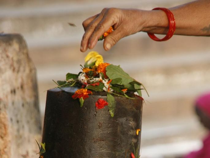 Benefits of belpatra from blood pressure to sugar | Benefits of belpatra: ब्लड प्रेशर अन् डायबिटीसला नियंत्रणात ठेवणार बेलाचं पान; इतर फायदे वाचून व्हाल अवाक् Benefits of belpatra from blood pressure to sugar | Benefits of belpatra: ब्लड प्रेशर अन् डायबिटीसला नियंत्रणात ठेवणार बेलाचं पान; इतर फायदे वाचून व्हाल अवाक्