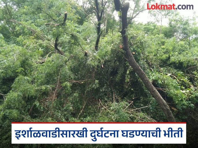 Navi Mumbai: Landslide on Parsik Hill in Belapur; Many trees uprooted | नवी मुंबई: बेलापूरमधील पारसिक टेकडीवर भूस्खलन; मातीच्या ढिगाऱ्यासह झाडे उन्मळून पडली Navi Mumbai: Landslide on Parsik Hill in Belapur; Many trees uprooted | नवी मुंबई: बेलापूरमधील पारसिक टेकडीवर भूस्खलन; मातीच्या ढिगाऱ्यासह झाडे उन्मळून पडली