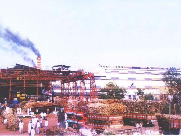 50 thousand tonnes of sugarcane crush in Chalisgaon's Belgaung | चाळीसगावच्या ‘बेलगंगे’त ५० हजार टन उसाचे गाळप 50 thousand tonnes of sugarcane crush in Chalisgaon's Belgaung | चाळीसगावच्या ‘बेलगंगे’त ५० हजार टन उसाचे गाळप