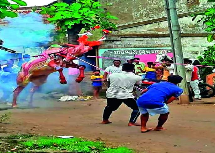 Karnataka's Bendur enthusiasts decorated the children in Kolhapur district: Tax breaks program | कोल्हापूर जिल्ह्यात कर्नाटकी बेंदूर उत्साहात -बैलांना सजविले : कर तोडण्याचा कार्यक्रम