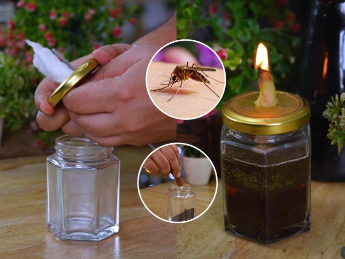 Natural Tips To Get Rid Of Mosquitoes Or Machar & Keep Away From House natural tips to get rid of mosquitoes home remedies to repel mosquitoes chemical free mosquito solutions | डेंग्यू-मलेरिया पसरवणारे डास घरभर उडतात? लावा ‘हा’ जादूई दिवा, डास परत घरात दिसणार नाहीत...
