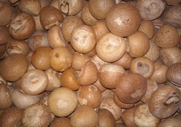 Rs.41.85 lakh betel nut seized in Nagpur | नागपुरात ४१.८५ लाखांची सुपारी जप्त Rs.41.85 lakh betel nut seized in Nagpur | नागपुरात ४१.८५ लाखांची सुपारी जप्त