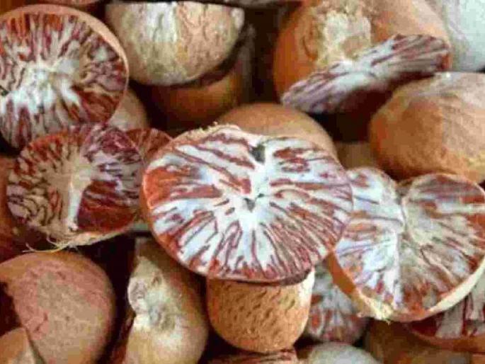 lakhs of betel nut seized in raids at smuggler Gani-Farooq's warehouse | कुख्यात सुपारी तस्कर गणी-फारुखच्या गोदामात छापा, लाखोंची सुपारी जप्त lakhs of betel nut seized in raids at smuggler Gani-Farooq's warehouse | कुख्यात सुपारी तस्कर गणी-फारुखच्या गोदामात छापा, लाखोंची सुपारी जप्त