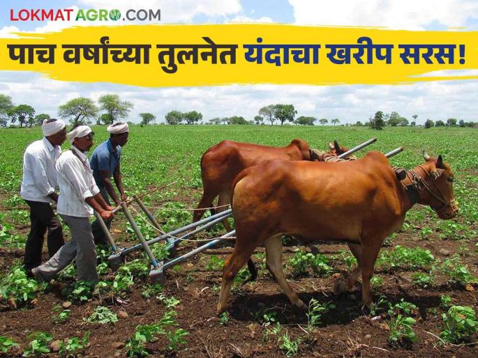 Maharashtra Farming kharif season better than the last five years Sown area increased | Maharashtra Farming : मागील पाच वर्षांच्या तुलनेत यंदाचा खरीप हंगाम सरसच! पेरणी क्षेत्र वाढले
