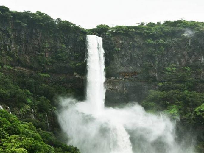 Bhambvali Vajrai Waterfall season in Satara starts today, the highest waterfall in the country  | साताऱ्यातील भांबवली वजराई धबधबा हंगाम आजपासून सुरू, देशातील सर्वाधिक उंचीचा धबधबा  Bhambvali Vajrai Waterfall season in Satara starts today, the highest waterfall in the country  | साताऱ्यातील भांबवली वजराई धबधबा हंगाम आजपासून सुरू, देशातील सर्वाधिक उंचीचा धबधबा