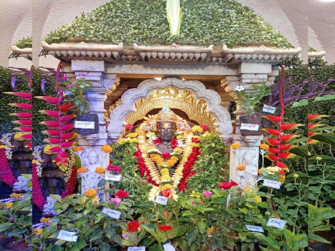 Bhairibuwa was decorated with flowers; Eco friendly decorations on Environment Day | भैरीबुवा सजला फुलझाडांनी; पर्यावरण दिनी पर्यावरणपूरक सजावट   Bhairibuwa was decorated with flowers; Eco friendly decorations on Environment Day | भैरीबुवा सजला फुलझाडांनी; पर्यावरण दिनी पर्यावरणपूरक सजावट