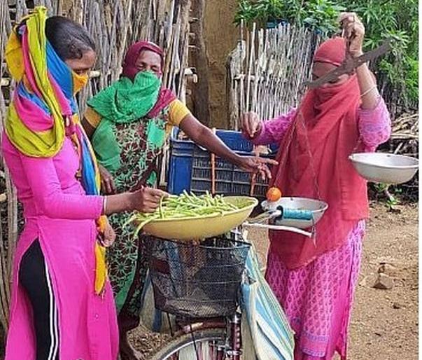 In Gadchiroli, the women of the self-help group got employment by selling vegetables on bicycles | गडचिरोलीत बचतगटाच्या महिलांनी सायकलवर भाजीपाला विकून मिळविला रोजगार