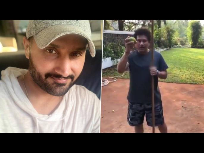 Sachin Tendulkar Plucks Lemons From Tree Using Bamboo Stick, Harbhajan Singh Requests Some For Himself svg | हरभजन सिंग मागतोय सचिन तेंडुलकरकडे लिंबू, Video पाहून तुम्हालाही कळेल कारण