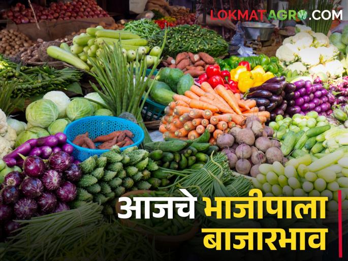 latest News Vegetables have increased with the heat of summer, check today's vegetable prices | उन्हाच्या पाऱ्यासोबत भाजीपाला वधारला, असे आहेत आजचे भाजीपाला दर latest News Vegetables have increased with the heat of summer, check today's vegetable prices | उन्हाच्या पाऱ्यासोबत भाजीपाला वधारला, असे आहेत आजचे भाजीपाला दर