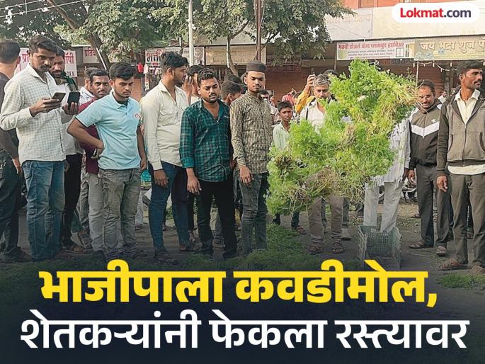 Hard work and expenses wasted; Farmers throw vegetables on the road due to low prices | केलेले कष्ट अन् खर्च वाया; कवडीमोल भावामुळे शेतकऱ्यांनी भाजीपाला फेकला रस्त्यावर