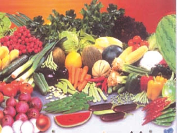 Changes in the timing of sale of vegetables in Nepti sub-market in Nagar Bazar Samiti | नगर बाजार समितीतील नेप्ती उपबाजारमधील भाजीपाला विक्रीच्या वेळेत बदल