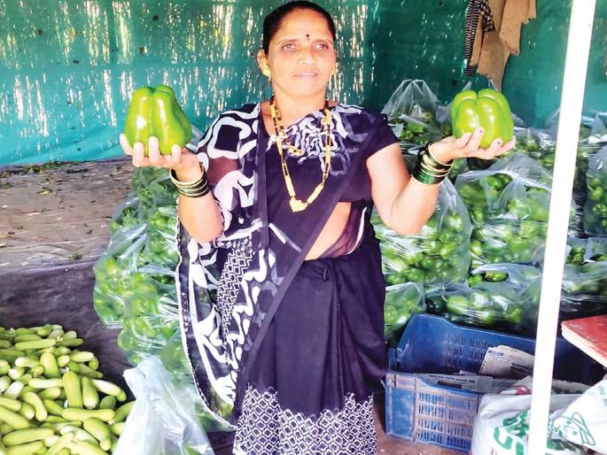 Benefits of changing the duration of vegetable production | भाजीपाला उत्पादनाचा कालावधी बदलल्याने फायदा Benefits of changing the duration of vegetable production | भाजीपाला उत्पादनाचा कालावधी बदलल्याने फायदा