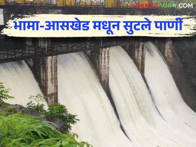 Bhama Askhed Dam : The first irrigation water released for the Rabi season was released from Bhama Askhed dam | Bhama Askhed Dam : रब्बी हंगामातील पहिले आवर्तन भामा आसखेड धरणातून सोडले