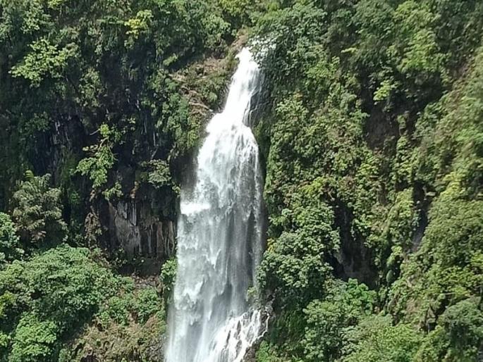 The waterfall in the bhambavali amazing | डोंगरातला धबधबा कोसळू लागला; खळखळणा-या नदीत मिसळून गेला The waterfall in the bhambavali amazing | डोंगरातला धबधबा कोसळू लागला; खळखळणा-या नदीत मिसळून गेला