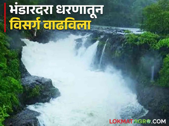 Latest News Bhandardara Dam is full, how much discharge from dam Know in detail  | Bhandardara Dam : भंडारदरा धरण भरले, धरणातून विसर्ग किती? जाणून घ्या सविस्तर 
