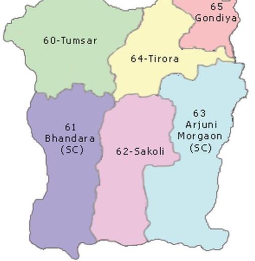 In the Bhandara-Gondiya parliamentary constituency, open the way for the by-election | भंडारा-गोंदिया लोकसभा मतदार संघात पोटनिवडणूक घेण्याचा मार्ग मोकळा In the Bhandara-Gondiya parliamentary constituency, open the way for the by-election | भंडारा-गोंदिया लोकसभा मतदार संघात पोटनिवडणूक घेण्याचा मार्ग मोकळा