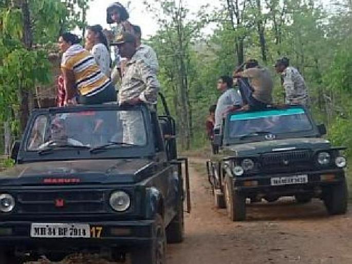 Abusive treatment to tourists by female gypsy driver during jungle safari at navegaon nagzira tiger reserve | जंगल सफारीदरम्यान महिला जिप्सी चालकाने घातला गोंधळ; पर्यटकांना मनस्ताप Abusive treatment to tourists by female gypsy driver during jungle safari at navegaon nagzira tiger reserve | जंगल सफारीदरम्यान महिला जिप्सी चालकाने घातला गोंधळ; पर्यटकांना मनस्ताप