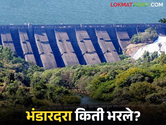 More than five inches of rain again in Ghatghar; How much water has accumulated in Bhandardara Dam? | घाटघर येथे पुन्हा पाच इंचाहून अधिक पाऊस; भंडारदरा धरणात झाला किती पाणीसाठा?
