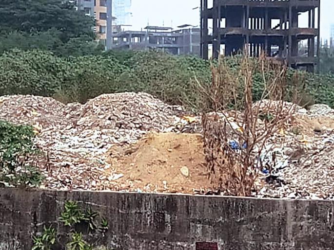 Waste Empire in Wetlands | पाणथळ जागेत कचऱ्याचे साम्राज्य