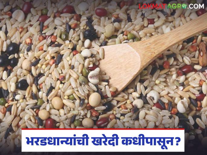 The schedule for the procurement of coarse grains has been announced, what will be the farmer registration and procurement period? | भरडधान्य खरेदीचे वेळापत्रक आले, शेतकरी नोंदणी व खरेदी कालावधी कसा असेल? 