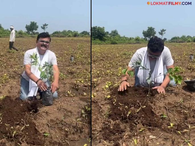 Bharat Ganeshpure was seen enjoying the fields in the village while taking a break from 'Chala Hawa Yeu Dya'. | 'चला हवा येऊ द्या'मधून ब्रेक घेत गावात शेतात रमलेले दिसले भारत गणेशपुरे Bharat Ganeshpure was seen enjoying the fields in the village while taking a break from 'Chala Hawa Yeu Dya'. | 'चला हवा येऊ द्या'मधून ब्रेक घेत गावात शेतात रमलेले दिसले भारत गणेशपुरे