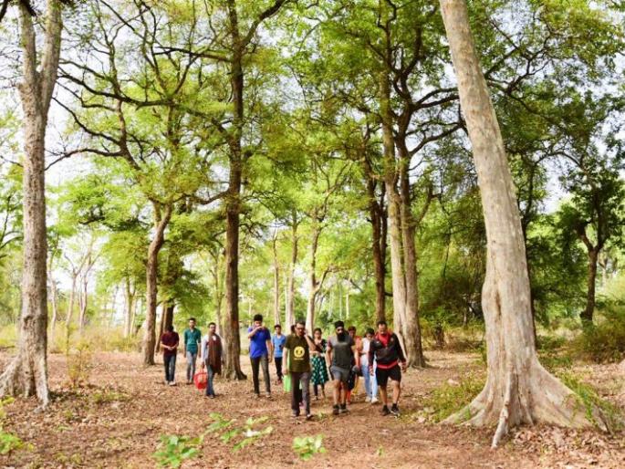 Trees in Bharatvan of Nagpur will continue: Information in High Court | नागपूरच्या  भरतवनातील झाडे कायम राहणार  :  हायकोर्टात माहिती Trees in Bharatvan of Nagpur will continue: Information in High Court | नागपूरच्या  भरतवनातील झाडे कायम राहणार  :  हायकोर्टात माहिती