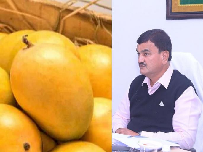 Only Konkan Hapus has the right to geographical designation Agriculture Minister assures in Nagpur | Hapus Mango: जीआयवर कोकण हापूसचाच हक्क; नागपुरात कृषिमंत्र्यांची ग्वाही