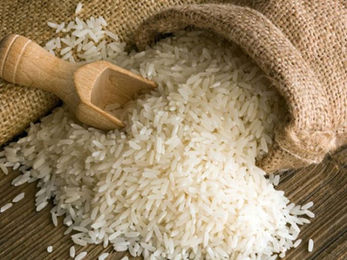 The disadvantage caused by disintegration in rice cultivation | भातबीजातील भेसळीने झाले नुकसान The disadvantage caused by disintegration in rice cultivation | भातबीजातील भेसळीने झाले नुकसान