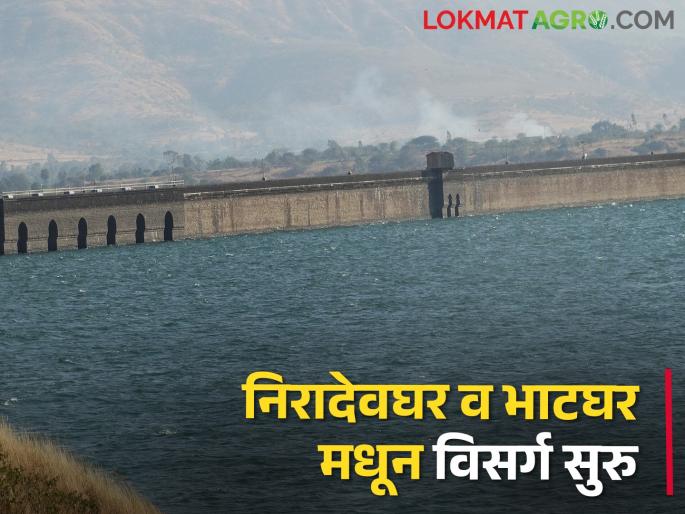 Drought Situation; The amount of water left in bhatgar and nira deoghar dam | झळा दुष्काळाच्या; ब्रिटिशकालीन या धरणात उरलाय इतका पाणीसाठा