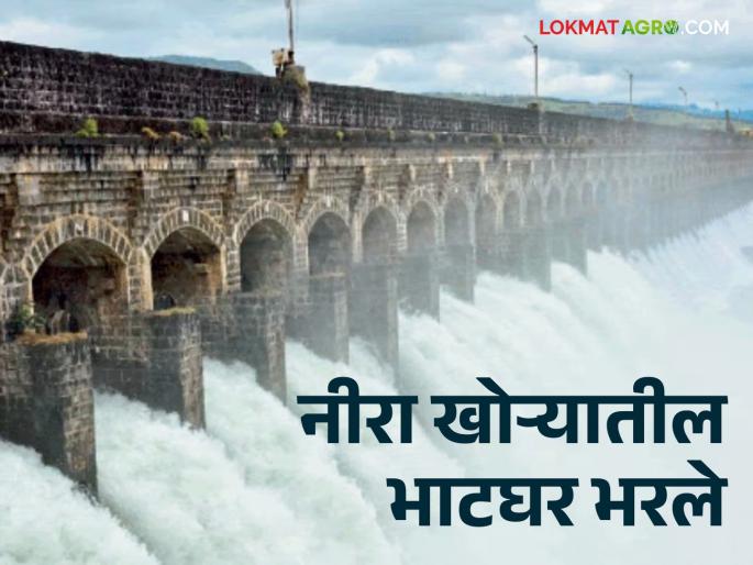 Bhatghar Dam : Bhatghar Dam in Neera Valley 100 percent full; Discharge in Nira river basin So the flood situation in the riverside areas | Bhatghar Dam : नीरा खोऱ्यातील भाटघर १०० टक्के भरले; नीरा नदीपात्रात विसर्ग तर नदीकाठच्या भागात पूरस्थिती Bhatghar Dam : Bhatghar Dam in Neera Valley 100 percent full; Discharge in Nira river basin So the flood situation in the riverside areas | Bhatghar Dam : नीरा खोऱ्यातील भाटघर १०० टक्के भरले; नीरा नदीपात्रात विसर्ग तर नदीकाठच्या भागात पूरस्थिती