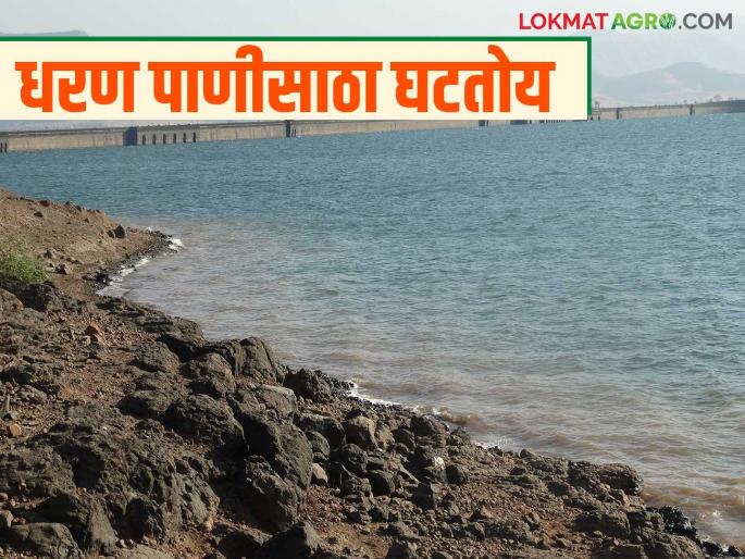 How much water is stored in the Bhatghar and Nira Deoghar dams in the Nira Valley compared to last year? | मागील वर्षीच्या तुलनेत नीरा खोऱ्यातील भाटघर अन् नीरा देवघर धरणांत किती पाणीसाठा?