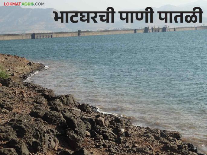 421 mm of rain in Bhatghar Dam area in 24 hours, how much water entered in the dam | भाटघर धरण क्षेत्रात २४ तासात तब्बल ४२१ मिलिमीटर पाऊस, धरणात आलं किती पाणी? 421 mm of rain in Bhatghar Dam area in 24 hours, how much water entered in the dam | भाटघर धरण क्षेत्रात २४ तासात तब्बल ४२१ मिलिमीटर पाऊस, धरणात आलं किती पाणी?