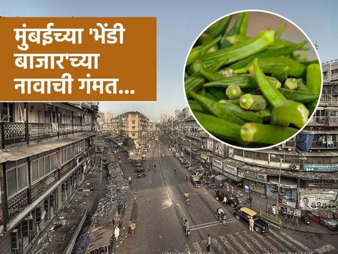 What is the real story behind the name of bhendi bazaar | भेंडीवरून पडलंय का मुंबईच्या 'भेंडी बाजार'चं नाव? सत्य वाचाल तर मारून घ्याल कपाळावर हात What is the real story behind the name of bhendi bazaar | भेंडीवरून पडलंय का मुंबईच्या 'भेंडी बाजार'चं नाव? सत्य वाचाल तर मारून घ्याल कपाळावर हात
