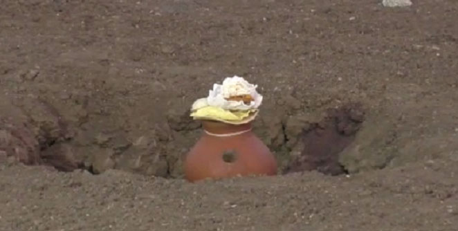 'Bhandaval mandani' ; The forecast will be tomorrow | आज भेंडवळची घटमांडणी; उद्या होणार अंदाज जाहिर 'Bhandaval mandani' ; The forecast will be tomorrow | आज भेंडवळची घटमांडणी; उद्या होणार अंदाज जाहिर