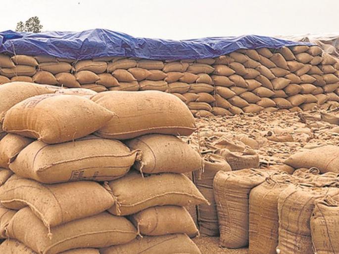 Approval of 41 centers by Adivasi Development Corporation; Purchase of 50 thousand quintals of paddy so far | आदिवासी विकास महामंडळाकडून ४१ केंद्राला मंजुरी; आतापर्यंत ५० हजार क्विंटल धान खरेदी Approval of 41 centers by Adivasi Development Corporation; Purchase of 50 thousand quintals of paddy so far | आदिवासी विकास महामंडळाकडून ४१ केंद्राला मंजुरी; आतापर्यंत ५० हजार क्विंटल धान खरेदी