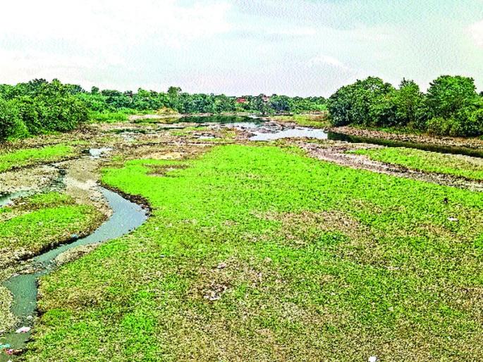 Bhima cold dry due to rain | भीमा नदीपात्र पावसाअभावी कोरडे