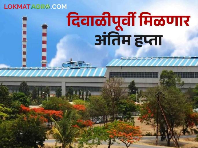 In this year's sugarcane season, the factory has given a final sugarcane price of Rs. 3200 | यंदाच्या गाळप हंगामात या कारखान्याने दिला ३२०० रुपये अंतिम ऊस दर In this year's sugarcane season, the factory has given a final sugarcane price of Rs. 3200 | यंदाच्या गाळप हंगामात या कारखान्याने दिला ३२०० रुपये अंतिम ऊस दर