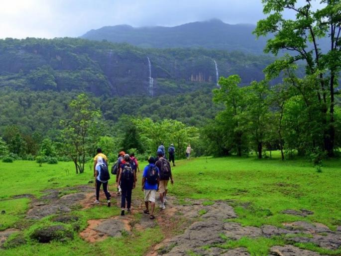 Many accidents during monsoon tourism Important decision of Bhimashankar forest | Bhimashankar Forest: पावसाळी पर्यटन करताना अनेक अपघात; भीमाशंकर अभयारण्याचा महत्वपूर्ण निर्णय Many accidents during monsoon tourism Important decision of Bhimashankar forest | Bhimashankar Forest: पावसाळी पर्यटन करताना अनेक अपघात; भीमाशंकर अभयारण्याचा महत्वपूर्ण निर्णय