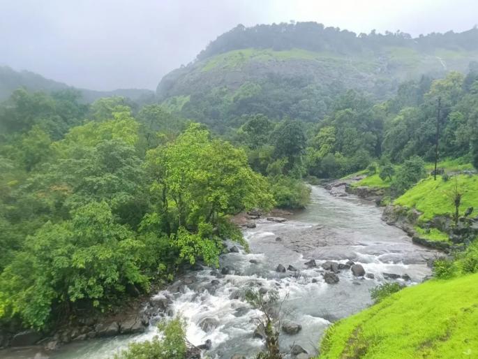 A rickshaw puller robbed a businessman at knifepoint in the forests of Bhimashankar. | भीमाशंकरच्या जंगलात रिक्षाचालकाने व्यापाऱ्याला चाकूचा धाक दाखवून लुटले A rickshaw puller robbed a businessman at knifepoint in the forests of Bhimashankar. | भीमाशंकरच्या जंगलात रिक्षाचालकाने व्यापाऱ्याला चाकूचा धाक दाखवून लुटले