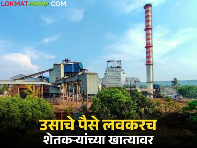 Bhimashankar sugar factory will soon deposit the remaining installment as per FRP in the farmers accounts | भीमाशंकर कारखाना एफआरपीनुसार राहिलेला हप्ता लवकरच शेतकऱ्यांच्या खात्यावर जमा करणार