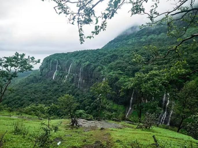 Bhimashankar's life ended halfway through the trek from Maval! Trekkers die of heart disease | मावळातून ट्रेकला सुरुवात; भीमाशंकरला अर्ध्यावरच आयुष्य संपले, ट्रेकर्सचा हृदयविकाराने मृत्यू Bhimashankar's life ended halfway through the trek from Maval! Trekkers die of heart disease | मावळातून ट्रेकला सुरुवात; भीमाशंकरला अर्ध्यावरच आयुष्य संपले, ट्रेकर्सचा हृदयविकाराने मृत्यू