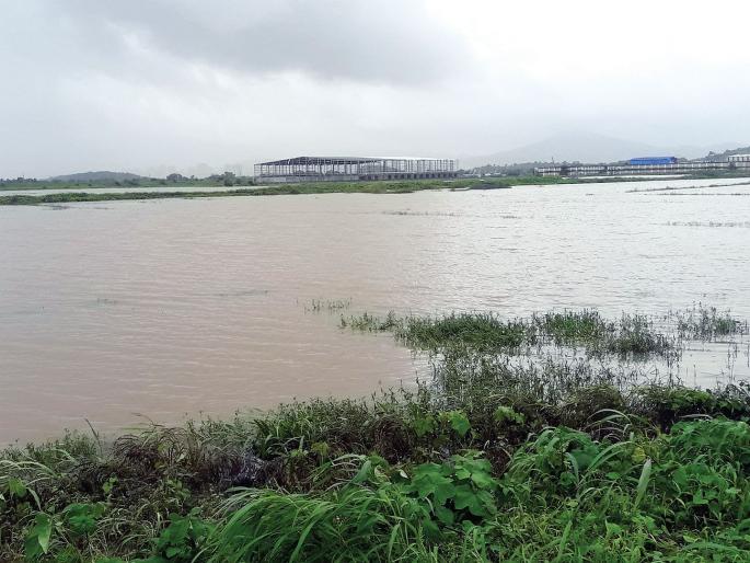 Flooding broke out, but paddy was under water | भिवंडीत पूर ओसरला, मात्र भातशेती पाण्याखाली Flooding broke out, but paddy was under water | भिवंडीत पूर ओसरला, मात्र भातशेती पाण्याखाली