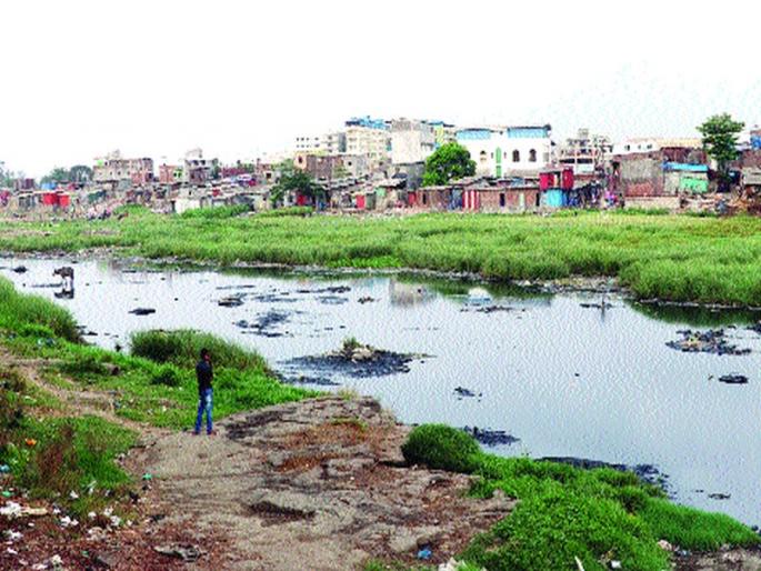 The boon for river Kavadi will be used for agriculture | ...तर भिवंडीतील कामवारी नदी शेतीसाठी ठरेल वरदान The boon for river Kavadi will be used for agriculture | ...तर भिवंडीतील कामवारी नदी शेतीसाठी ठरेल वरदान
