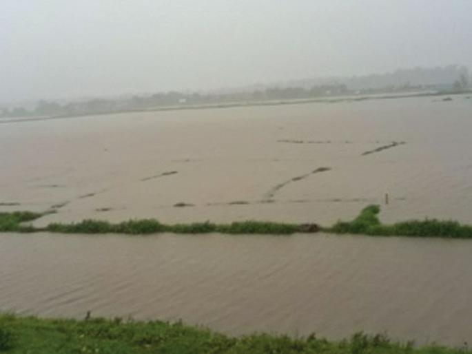Hazard levels exceeded by major rivers | प्रमुख नद्यांनी ओलांडली धोक्याची पातळी Hazard levels exceeded by major rivers | प्रमुख नद्यांनी ओलांडली धोक्याची पातळी