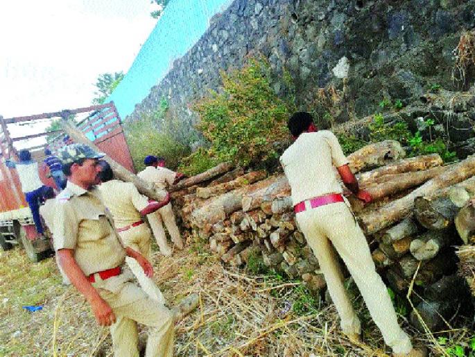 Get 60 tons of illegal wood stock from the fall | पडघ्यातून ६० टन अवैध लाकूडसाठा हस्तगत Get 60 tons of illegal wood stock from the fall | पडघ्यातून ६० टन अवैध लाकूडसाठा हस्तगत