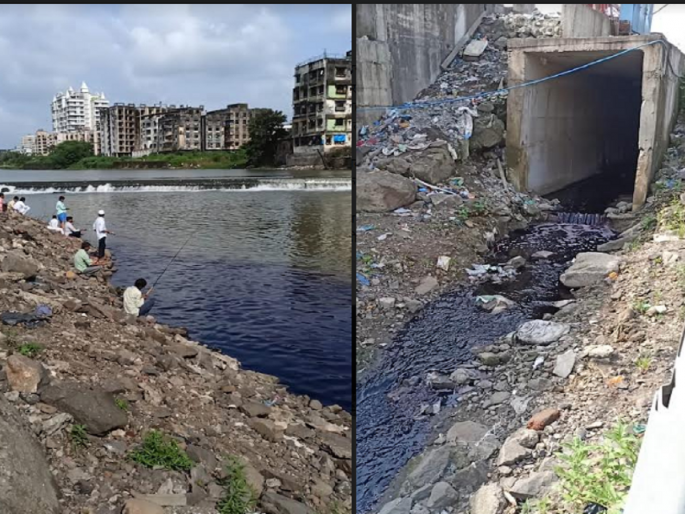 Kamwari and Ulhas rivers in Bhiwandi have been polluted due to release of hazardous chemicals into the riverbed | घातक रसायने नदीपात्रात सोडल्याने भिवंडीतील कामवारी व उल्हास नदी झाली प्रदूषित Kamwari and Ulhas rivers in Bhiwandi have been polluted due to release of hazardous chemicals into the riverbed | घातक रसायने नदीपात्रात सोडल्याने भिवंडीतील कामवारी व उल्हास नदी झाली प्रदूषित