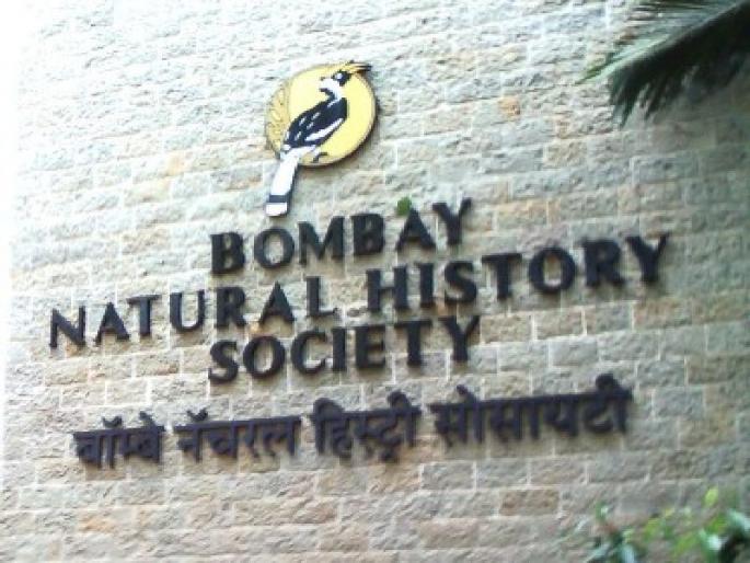 BNHS has 33 acres of land for 3 years! | बीएनएचएसची ३३ एकर जागा ३ वर्षांपासून कराराविना! BNHS has 33 acres of land for 3 years! | बीएनएचएसची ३३ एकर जागा ३ वर्षांपासून कराराविना!