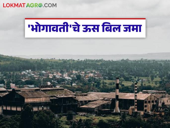 Sugarcane bills of Bhogavati Sugar Factory deposited in farmers accounts; How was the price per ton given? | भोगावती साखर कारखान्याची ऊस बिले शेतकऱ्यांच्या खात्यावर जमा; प्रतिटन कसा दिला दर?
