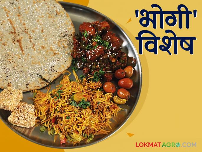 Bhogi San : What is the relationship between Sankranti and Bhogi? How is the festival celebrated; Let's see in detail | Bhogi San : संक्रांत आणि भोगीचं नातं काय? कसा साजरा केला जातो सण; पाहूया सविस्तर Bhogi San : What is the relationship between Sankranti and Bhogi? How is the festival celebrated; Let's see in detail | Bhogi San : संक्रांत आणि भोगीचं नातं काय? कसा साजरा केला जातो सण; पाहूया सविस्तर